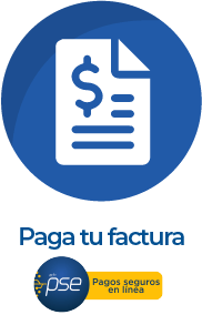 PAGO DE FACTURA